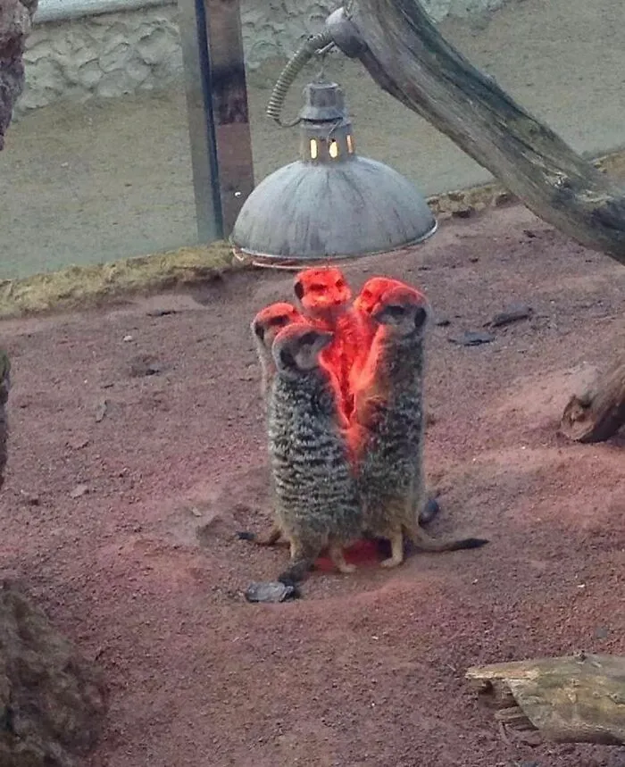50 Unexplainable Cursed Images Shared On This Instagram Account