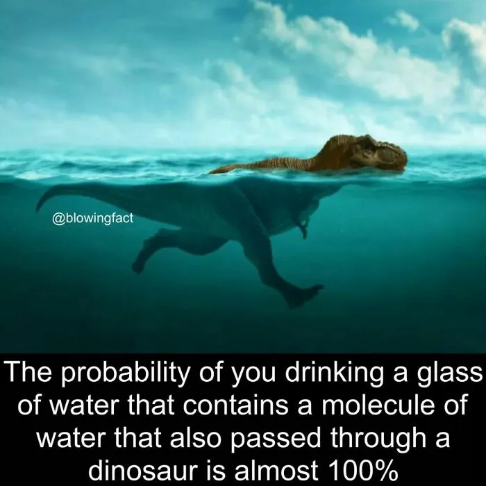 50 Of The Most Fascinating Facts Shared On The “Blowing Fact” Instagram Page (New Pics)