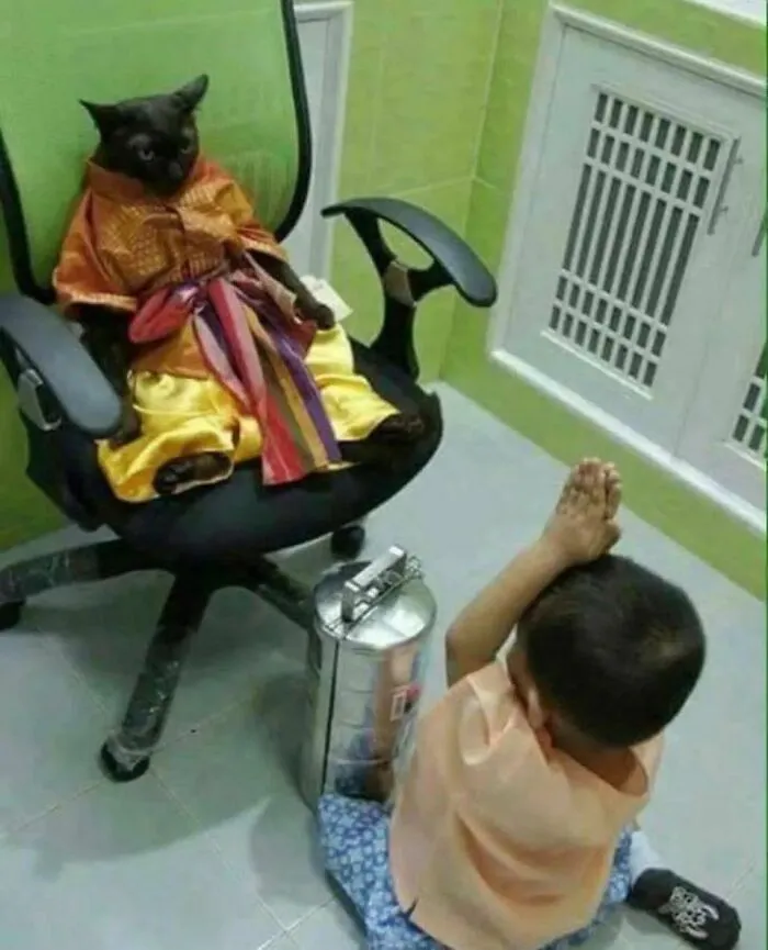 ‘Please Hesitate To Reach Out’: 50 Pics That Are Beyond Bizarre And Ridiculously Confusing