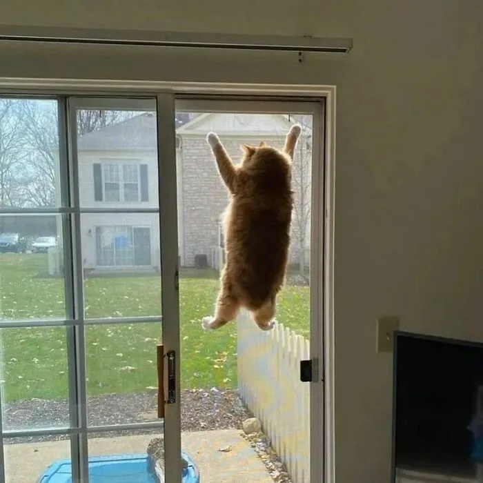 ‘Please Hesitate To Reach Out’: 50 Pics That Are Beyond Bizarre And Ridiculously Confusing