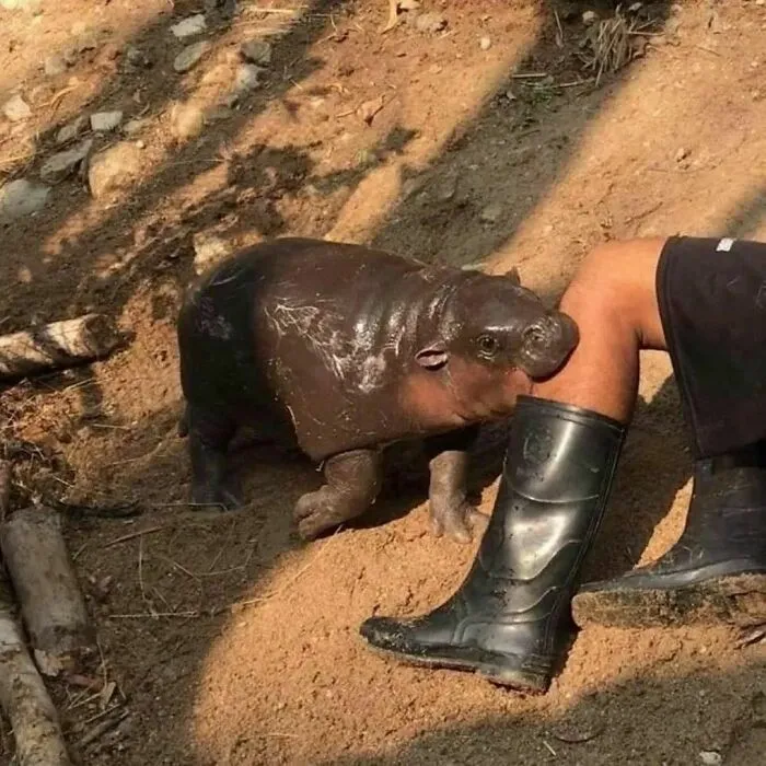 40 Imágenes malditas que van más allá de lo confuso