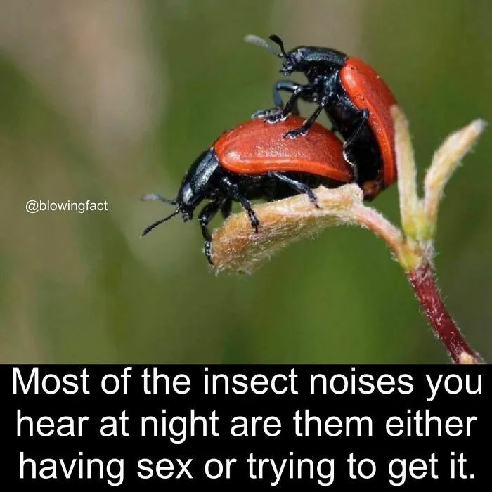 50 Of The Most Fascinating Facts Shared On The “Blowing Fact” Instagram Page (New Pics)