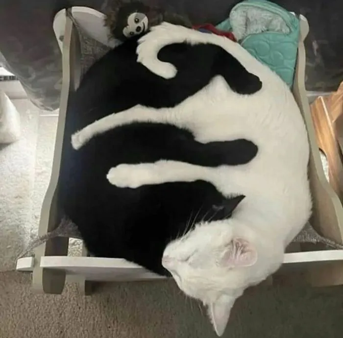 50 Unexplainable Cursed Images Shared On This Instagram Account