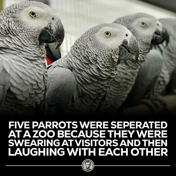 50 Of The Most Fascinating Facts Shared On The “Blowing Fact” Instagram Page (New Pics)
