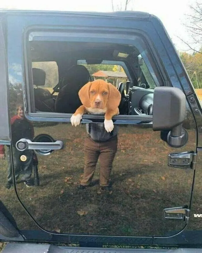50 Random Pictures You Didn’t Know You Might Find Funny, As Shared On This IG Account