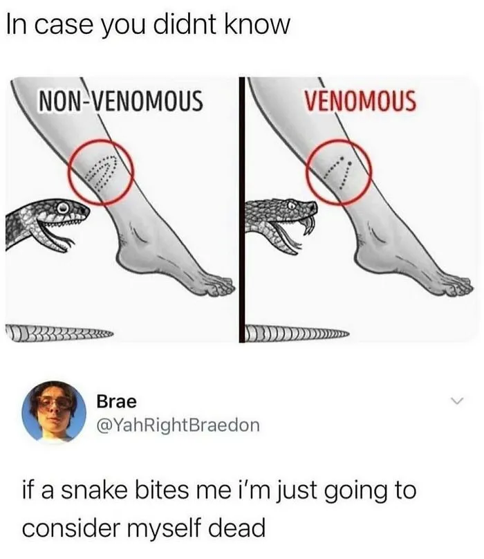 50 Chucklesome Memes That Make The Perfect Blend Of Animals And Comedy