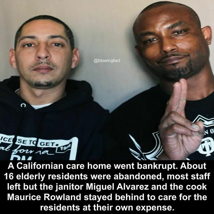 50 Of The Most Fascinating Facts Shared On The “Blowing Fact” Instagram Page (New Pics)