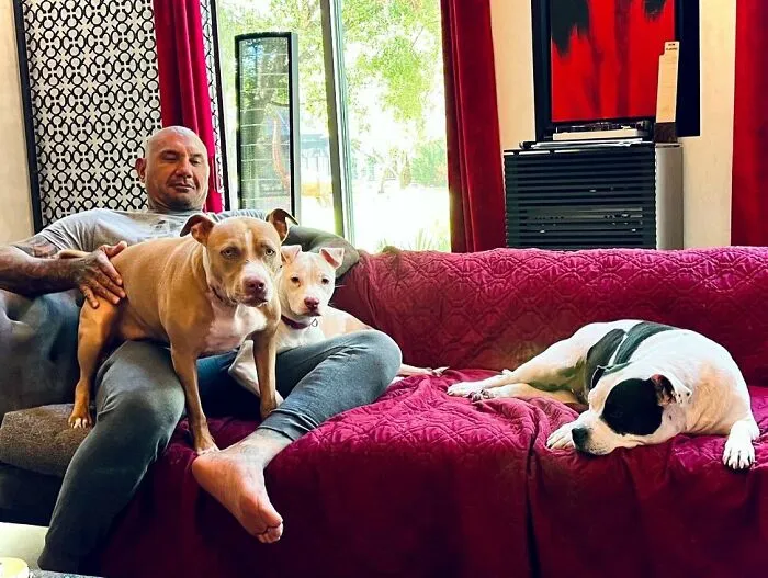 30 Celebrities Who Are Actually Wholesome And Are Not Just Faking It For The Press