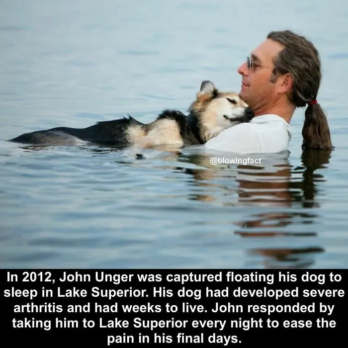 50 Of The Most Fascinating Facts Shared On The “Blowing Fact” Instagram Page (New Pics)