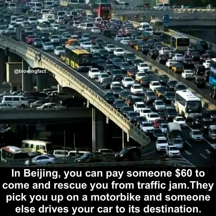 50 Of The Most Fascinating Facts Shared On The “Blowing Fact” Instagram Page (New Pics)