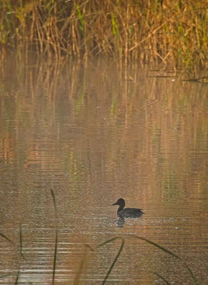 Calm Scene Right After The Sunrise