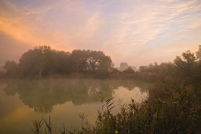 Foggy Waters