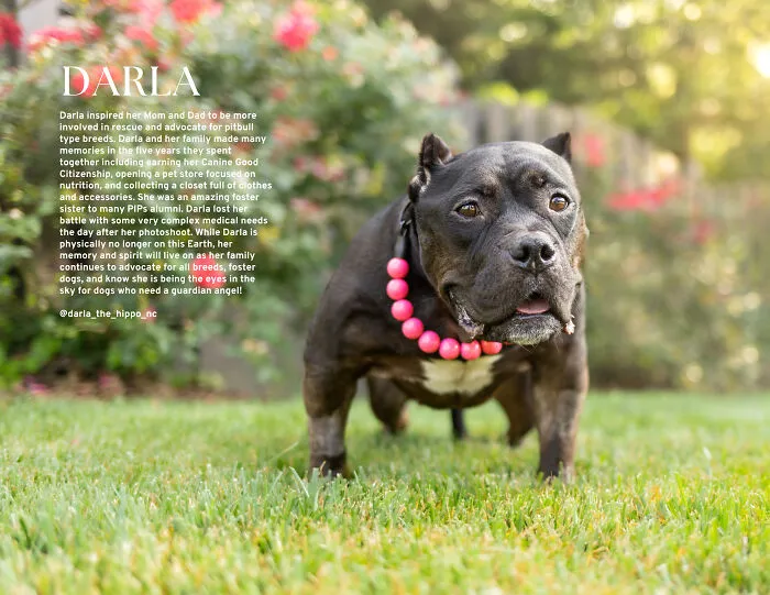 Miss February, Darla