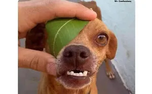 Funny Daily Memes For You