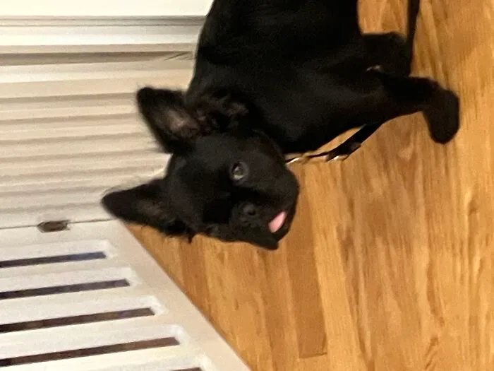Blep!