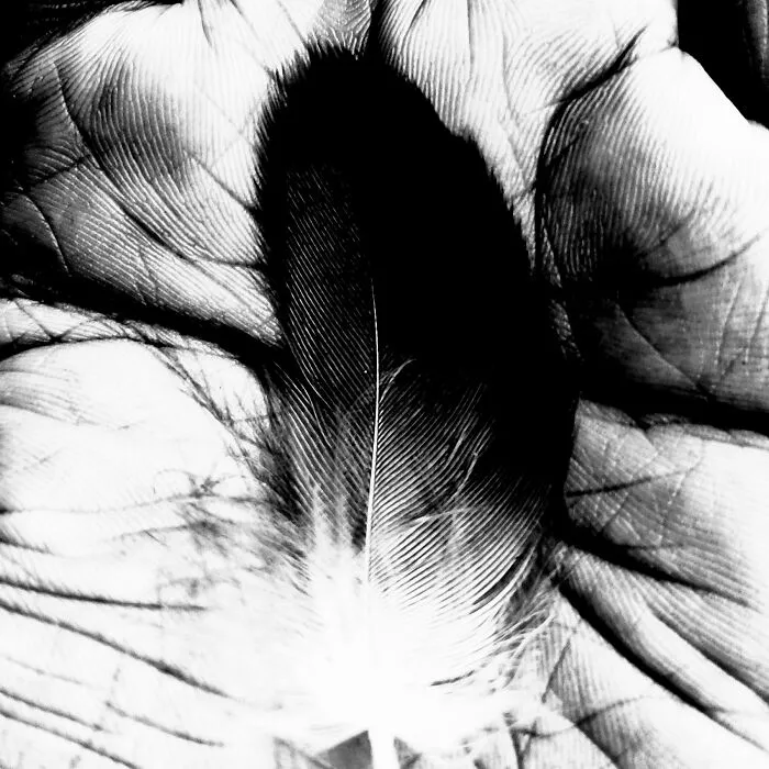 Feather's Touch