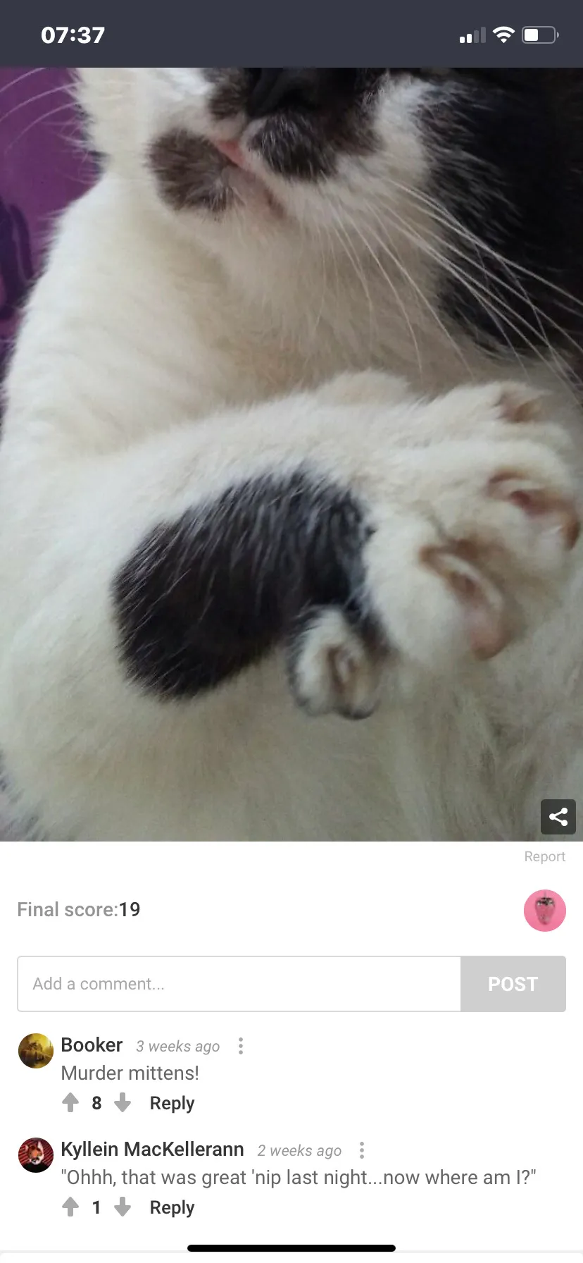 Hey Pandas, Share Pics Of The Best Bored Panda Comments!