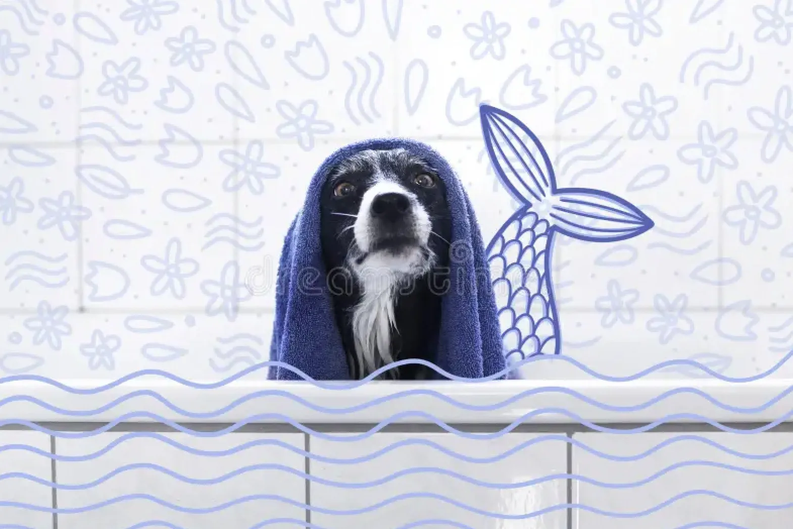 Hola Panda People! (Or Pandas), Post A Picture Of Your Pet, But Draw A Mermaid's Tail On Them!