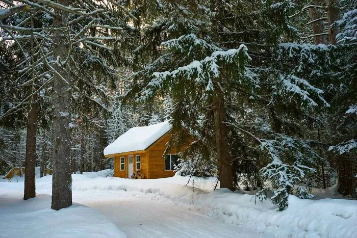 wooden cabin in the woods 