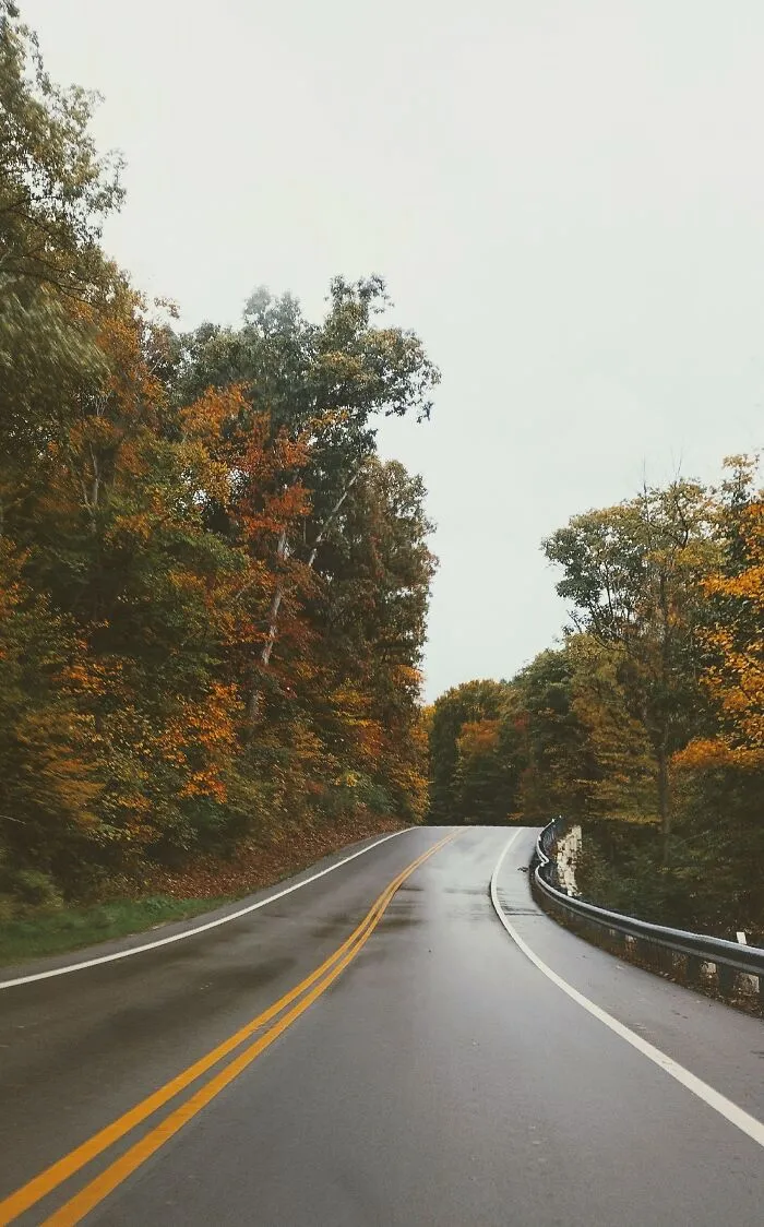 My Most Recent Favorite