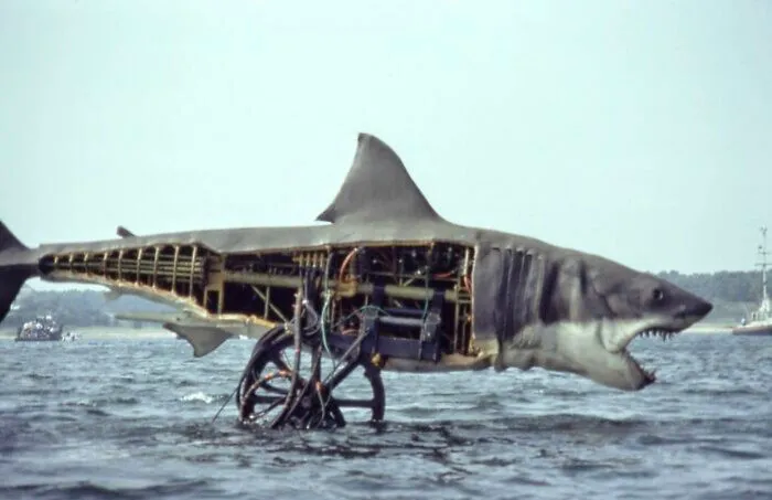 The Shark From Jaws