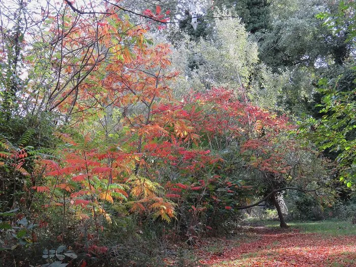 My Favorite Place, In Autumn Colors