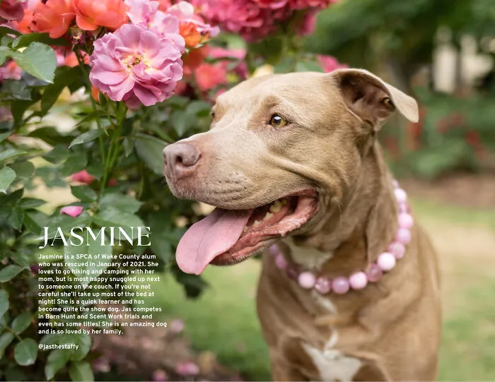 Miss June, Jasmine