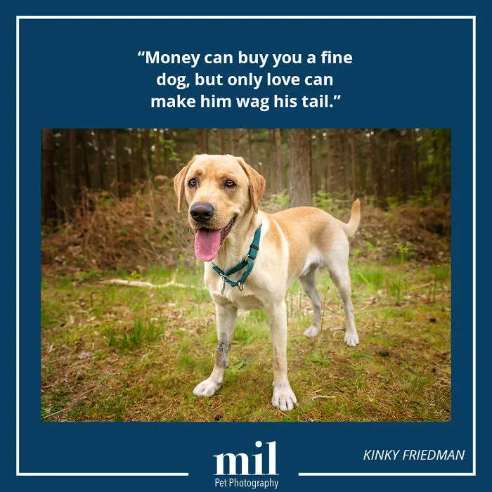 Kinky Friedman - "Money Can Buy You A Fine Dog, But Only Love Can Make Him Wag His Tail"