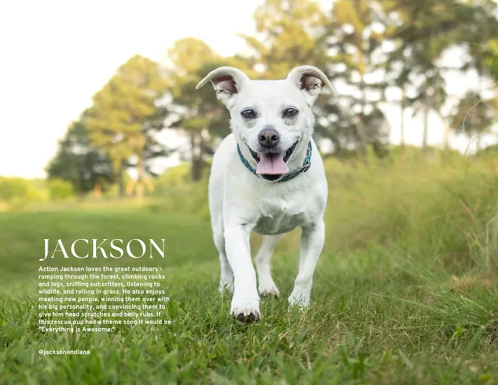 Mister May, Jackson