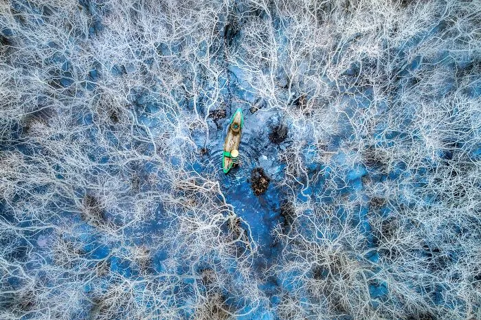 Mangroves & People Runner Up: In The Forest By Phan Thi Khanh, Vietnam