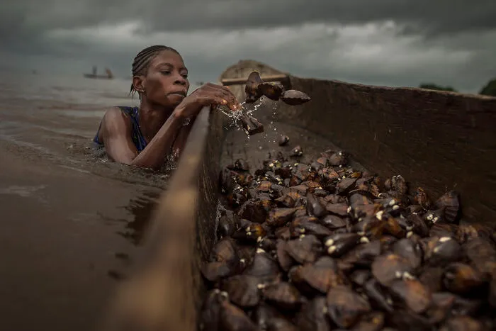 Mangroves & People Winner:  Séphora The Clam Diver By Kris Pannecoucke, Democratic Republic Of The Congo
