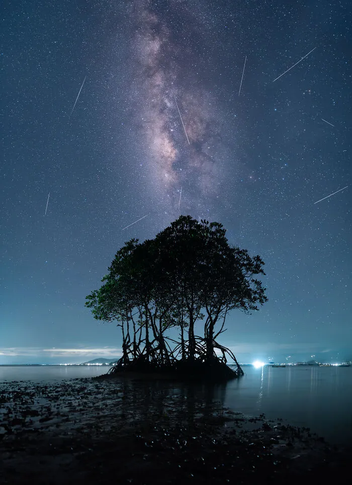 Mangroves & Landscape, Highly Commended: Between Ancient And Modern Lights By Aaron Ruy G. Musa, Philippines
