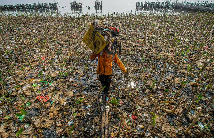 Mangroves & Threats Runner Up: Cleaning Up The Coastline By Gerdie Hutomo, Indonesia