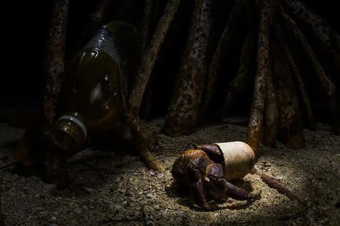 Mangroves & Threats Winner: The Theatre Of Plastic By Emanuele Biggi, Malaysia