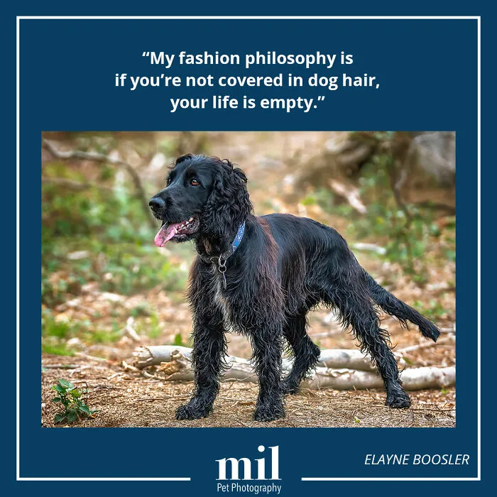 Elayne Boosler - "My Fashion Philosophy Is If You're Not Covered In Dog Hair, Your Life Is Empty"