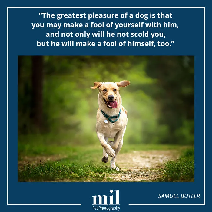 Samuel Butler - "The Greatest Pleasure Of A Dog Is That You Make A Fool Of Yourself With Him, And Not Only Will He Not Scold You, But He Will Make A Fool Of Himself, Too"