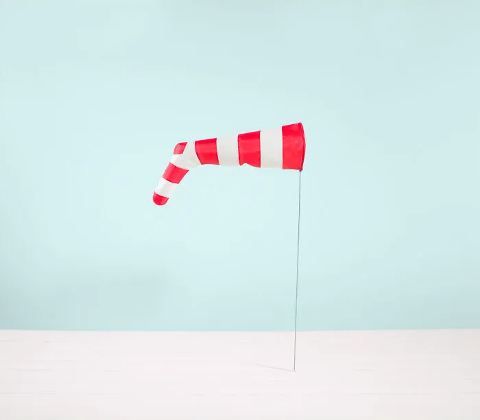 "Untitled", From The Series "Evolve", 2014