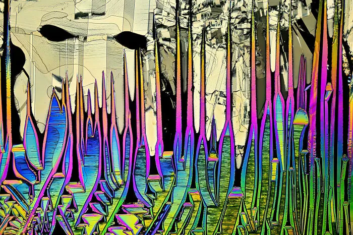 Image Of Distinction - Cagri Yalcin