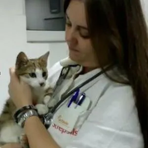 Milica Nikolic, DVM