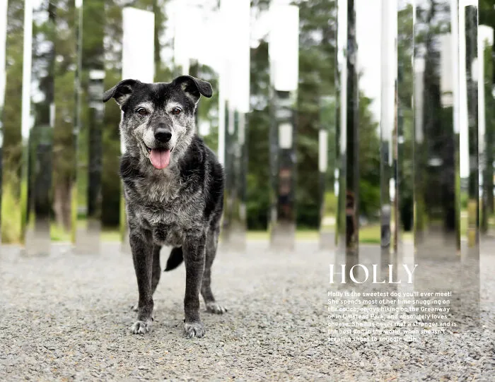 Miss November, Holly