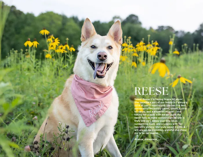 Miss October, Reese