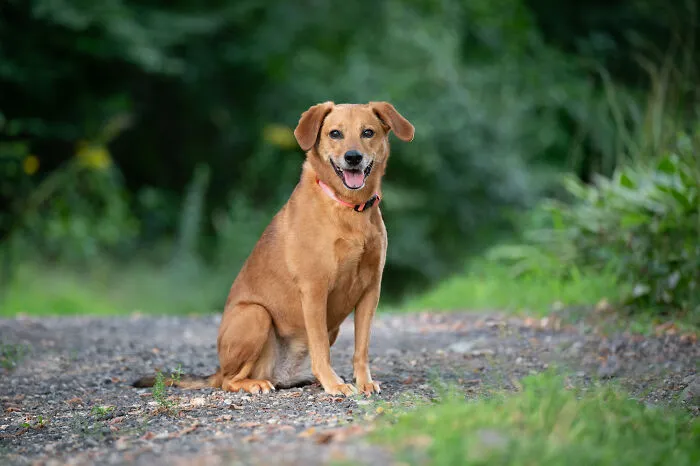 Maggie