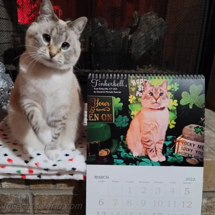 Photo Contest - 2024 International Wall Calendar!
