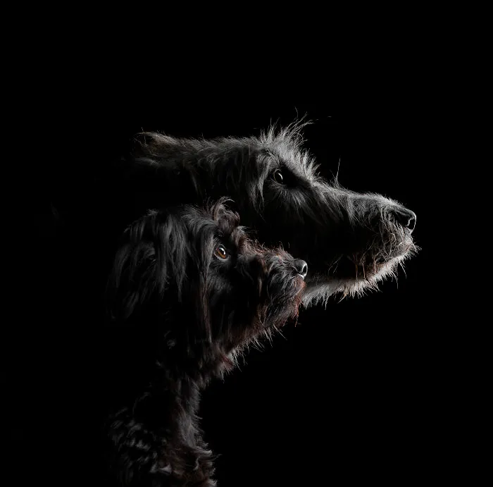 Finalist, Studio: "Wired Hair" By Chloé Brown