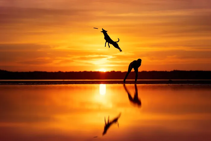 3rd Place, Action: "Catch It" By Anne-Laurie Léger