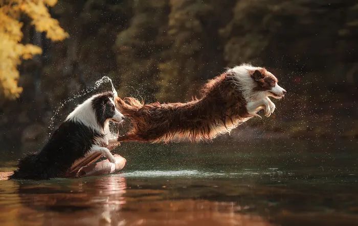 Finalist, Action: "Summer" By 贺 华培