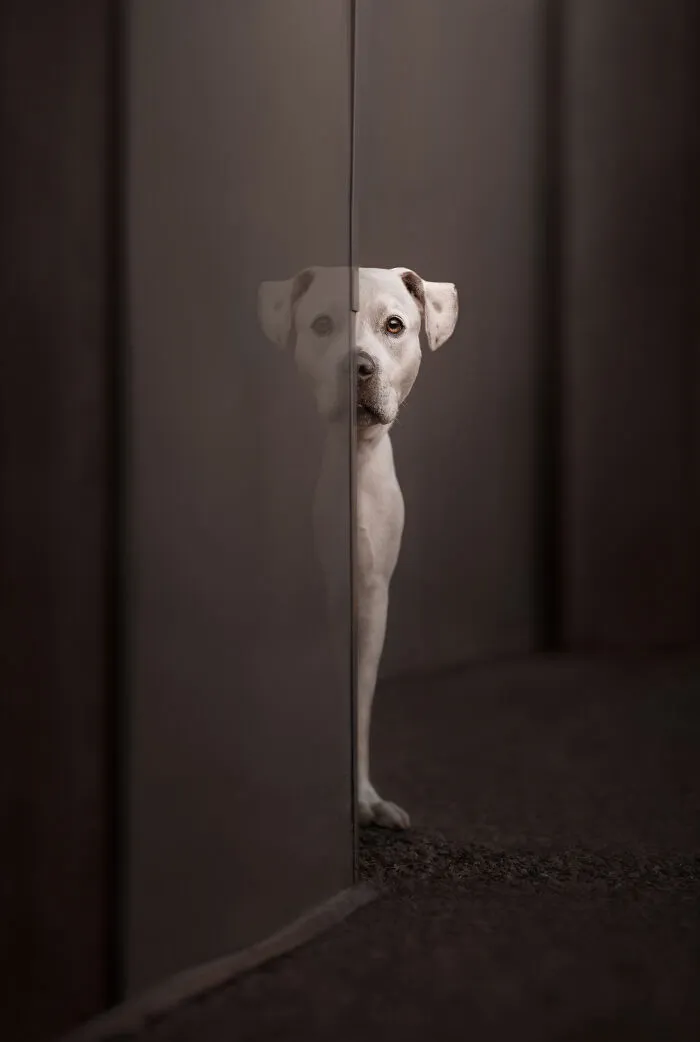 Finalist, Portrait And Landscape: "Seeing Double" By Katie Brockman
