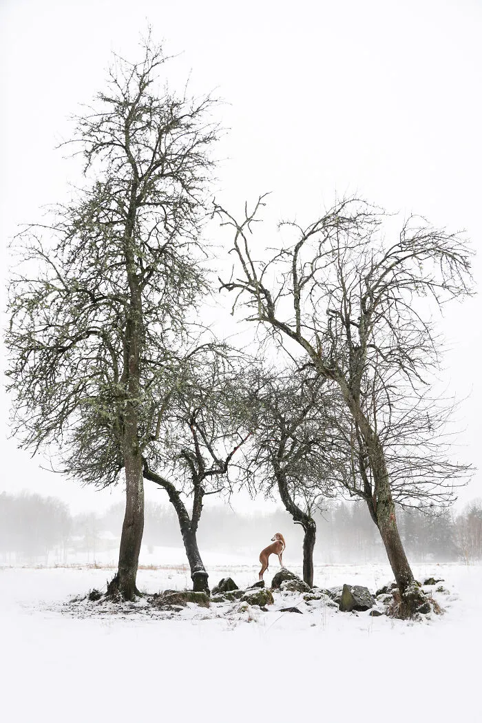 3º puesto categoría Retrato y paisaje: "Ilusión monocromática" por Sanna Sander