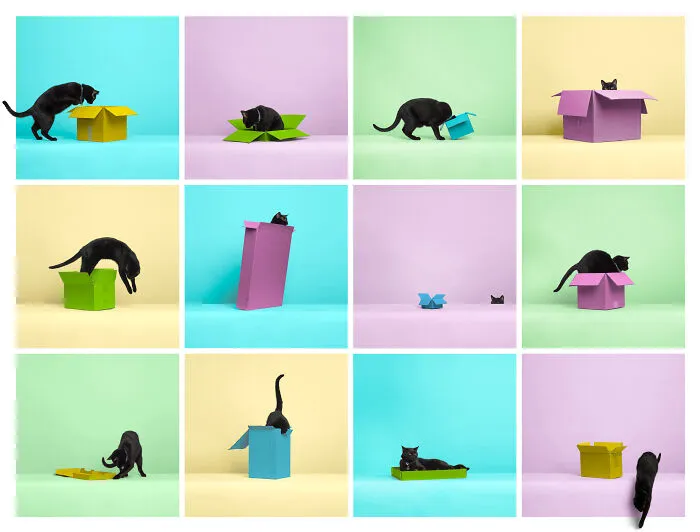 Creative Finalist: Kris Anderson
