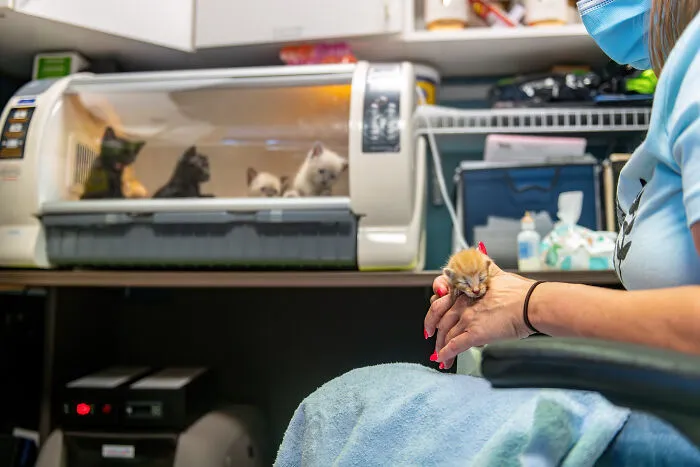 Documentary Finalist: Becky Huddleston